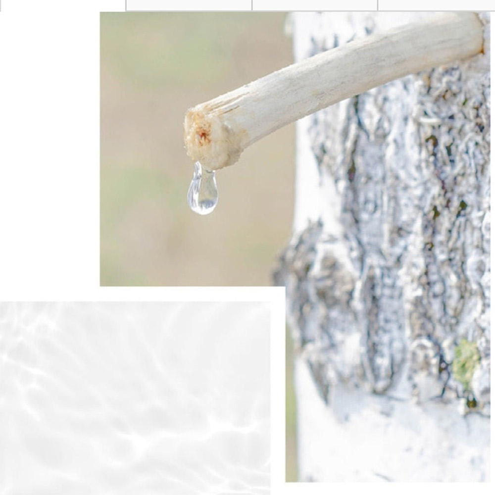 پد تقویت کننده مرطوب کننده آنوا Birch Moisture