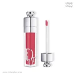 لیپ گلاس و حجم دهنده دیور رنگ intense fig027