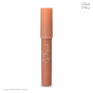 رژلب مدادی آنجل رز RICH COLOR 205