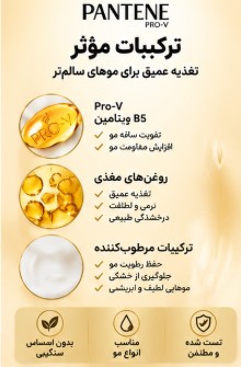 کرم موی ضد ریزش و تقویتکننده مو پنتن Oil Replacement Anti Hair Fall حجم 350