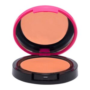 رژگونه کالر اند آرت کالیستا B03
